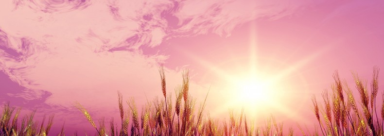 shutterstock_15374521-c1